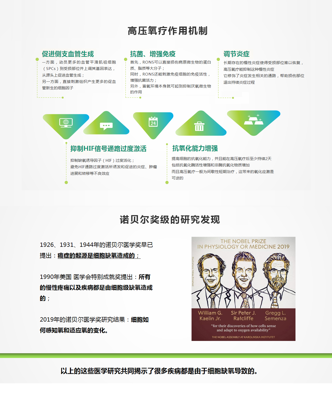 爱尔威仕AIRVES